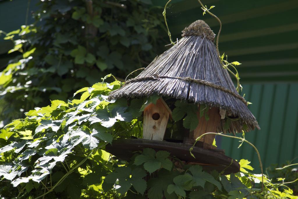 Hotel Zur Kutsche Oberschöna Exteriér fotografie
